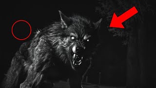 URGENT Histoire dhorreur de loupgarou  Histoire effrayante de lycanthrope [upl. by Ognimod]