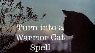 Warrior Cats Spell [upl. by Nerral977]