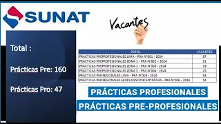 BALOTARIOS PRACTICAS PROFESIONALES Y PREPROFESIONALES SUNAT 2024 BASES DEL PROCESO DE SELECCION [upl. by Engle220]