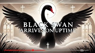 The Black Swan Arrives On Uptime Community Church Black Swan Live [upl. by Adal]