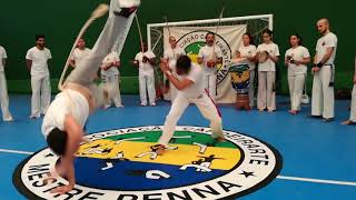 CAPOEIRA ARTE MARZIALE BRASILIANA [upl. by Kernan129]