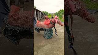 ढोलकी डफली डांस dance dholak music harmoniyam harmuniyam song tabla bhojpuri viralvideo [upl. by Haldan]