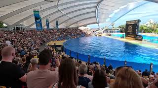 Loro Parque  Orca show Tenerife 4K [upl. by Limann]