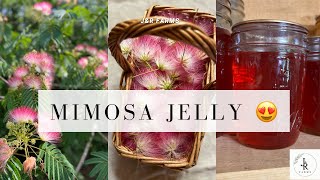 Mimosa Jelly  Foraged from our “invasive” mimosa trees 🌸 foraging [upl. by Eimmac]