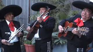 Las Mananitas by Mariachi Malibuwmv [upl. by Ishmael785]