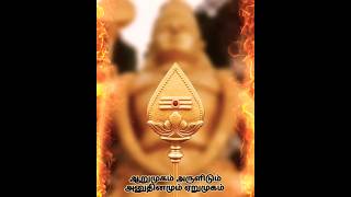 ஆறுபடை வேல் முருகா வா வா 🙏 velmurugan whatsappstatus godmurugan status [upl. by Garv453]