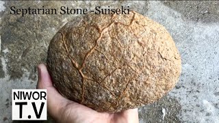 Septarian Stone  Viewing Stone Suiseki [upl. by Waylen5]