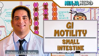 Gastrointestinal  GI Motility of the Small Intestine [upl. by Anauq]