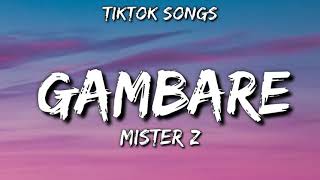 Gambare  Mister z TikTok Songs audio [upl. by Abbey]