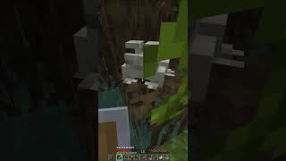 ¡Encontramos un sapo en minecraft minecraft sapos supervivencia seriedeminecraft granja [upl. by Llenrup]