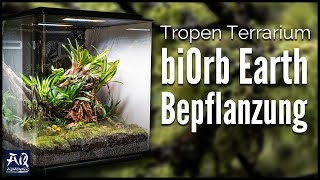 Regenwaldterrarium einrichten amp bepflanzen  AquaOwner [upl. by Us906]