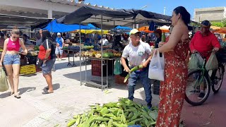 FEIRA LIVRE NA CIDADE DE CARNAUBAL CEARÁ DIA 291223 uma feira boa [upl. by Llenna]