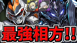 【最強相方】ロボえぐ強化！デイトナとブラックバードが各々アンジェリーナとアクセラレータの最強相方に！性能解説【パズドラ】 [upl. by Nnyltiak]