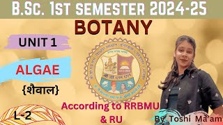 शैवाल BSc 1st Semester Botany L2 2024 25 BSc 1st Year Botany Lecture RRBMU [upl. by Aya974]