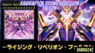 Raidraptor Rising Rebellion Falcon Master Duel [upl. by Baptist]