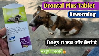 Drontal Plus Tablet dogs uses in Hindi  drontal plus Deworming tablet  Dog unique cafe [upl. by Rimahs592]