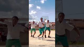 Agadoo dance stepsexplorepage viralvideo shorts ghanacelebrities [upl. by Notsnhoj735]