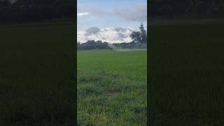 Insecticide spraying DJI T40 drone djidrone agriculture djit40 agriculturedrone sorts [upl. by Aloisia]