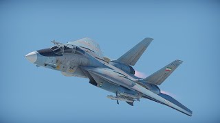 The IRIAF F14 Tomcat  Part 2   The Suffering [upl. by Aisirtap]