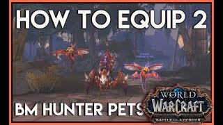 World of warcraft How to equip 2 BM Hunter Pets in BFA [upl. by Guglielmo]