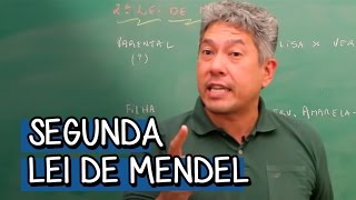 SEGUNDA LEI DE MENDEL  BIOLOGIA  DESCOMPLICA [upl. by Ahsito321]