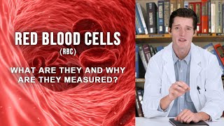 RED BLOOD CELLS RBC  what are they and why are they measured [upl. by Llij859]