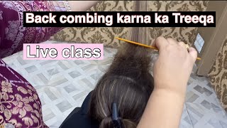 How to do Back Comb basic education by Lashes Beauty Parlour  How to make front puff [upl. by Mcleod487]