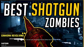 Best Einhorn Revolving Setup for Zombies  Call of Duty Vanguard  Weapon Guide [upl. by Brader]