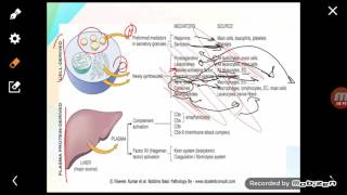 Inflammation part3 chemial mediators [upl. by Hanahsuar]