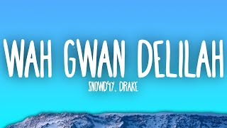 Snowd4y Drake  Wah Gwan Delilah [upl. by Dloreh]