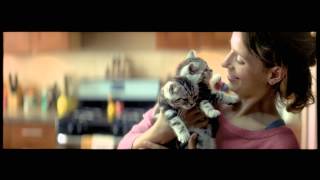 WHISKAS® Nederland  Big Cat Kitten Commercial 2014 [upl. by Hungarian]