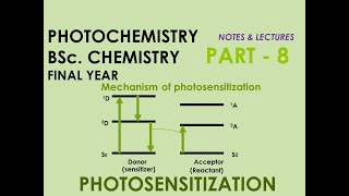 Photosensitization [upl. by Perlis]