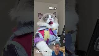 inappropriate hacking trying cute cat meowcraftai thatlittlepuff asmr asmrvideo hack cuteecats [upl. by Olive]