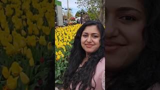 Part12 Malayalam minivlog  Tulip festival Bowral NSW Australia [upl. by Pinelli]