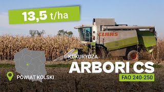 Zbiór kukurydzy Arbori CS 2024 w Tarnowce Wiesołowskiej w powiecie kolskim [upl. by Atthia530]