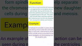 Explanation Of Centrioles  Example And Its Function centrioles [upl. by Marguerite]