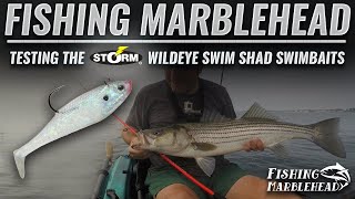 Testing the STORM WildEye Swim Shad Swimbaits [upl. by Grier]