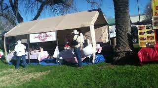 Esparto CA Almond Festival 2014 [upl. by Elodea]