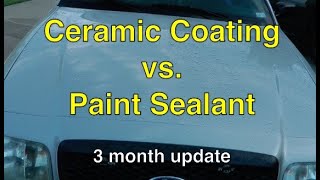 Ceramic Coating vs Paint Sealant 3 month update [upl. by Ophelie991]