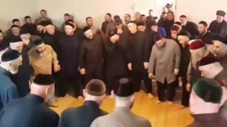 Random Muslims dancing in circles to Firefly [upl. by Eilegna]