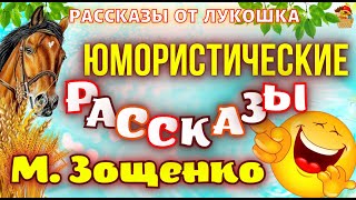 Смешные рассказы Зощенко • Сборник Юмористических рассказов Михаила Зощенко [upl. by Kristofor]