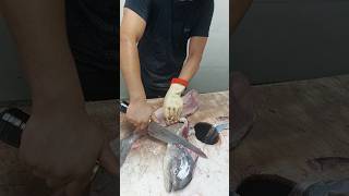 Knife Skills  How to Clean Dolphinfish Slice fishcuting [upl. by Aihsiek]