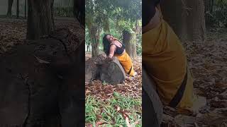 sareelove saree fashion banga sareefashion shortsvideo viral bengalbeauty sareefashion [upl. by Yard]