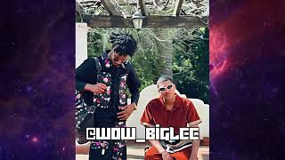 FREE 21Promo amp Pengii x Luda G Type Beat  Trap Beat 2024  quotEXPENSIVE GIRLSquot prod WowBigLee [upl. by Elehcir]