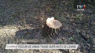 FOCURI DE ARMĂ TRASE DUPĂ HOȚII DE LEMNE [upl. by Eiramnwad]