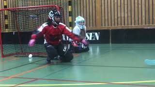 Floorball goalie training [upl. by Boggers59]