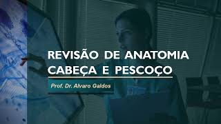 Anatomia Cabeça e Pescoço  Revisão [upl. by Kandy940]