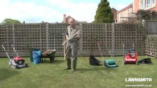 How to Rake and Scarify a Lawn for Moss and Thatch [upl. by Fari894]