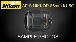 Nikon 85mm 18G Lens Sample Photos 2018 [upl. by Mellicent]