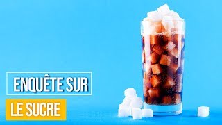 Enquête sur le sucre  Documentaire [upl. by Iem]